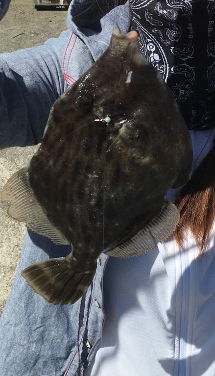 初マイクロワインドで初の青物！！