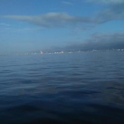 鳴尾浜臨界公園でライトジギング