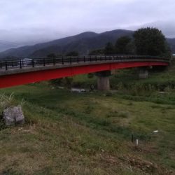 知内川河口付近で小鮎釣り