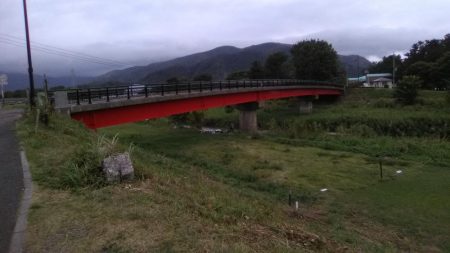 知内川河口付近で小鮎釣り