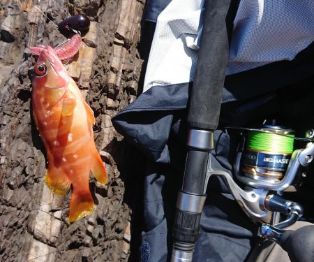 グルーパーゲーム