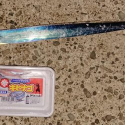 アタリはあるが、、、