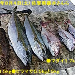大物釣果速報！●光義丸：平戸市早福港