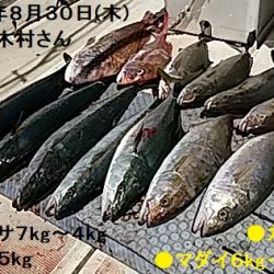 大物釣果速報！●光義丸：平戸市早福港