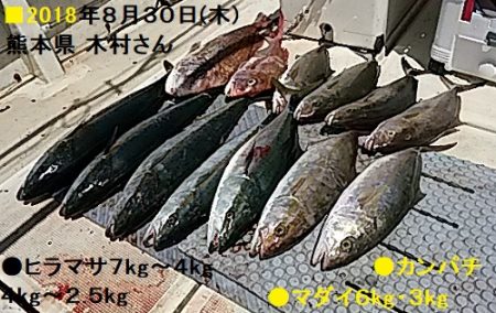 大物釣果速報！●光義丸：平戸市早福港