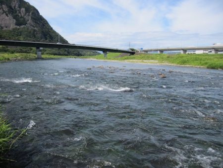 狩野川（狩野川漁業協同組合） 釣果