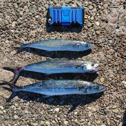 はじめての釣り場で