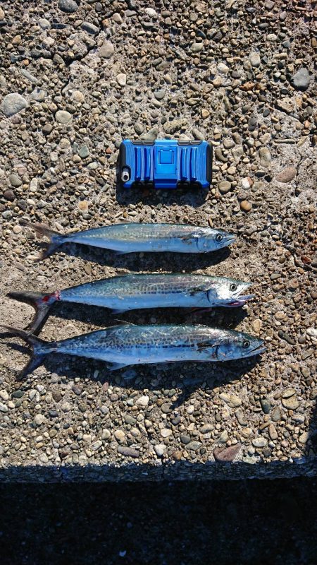 はじめての釣り場で