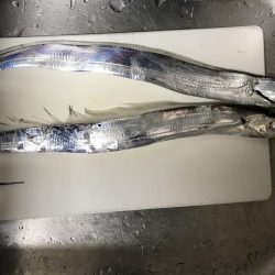 雨の前のタチウオ釣り