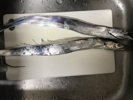 雨の前のタチウオ釣り