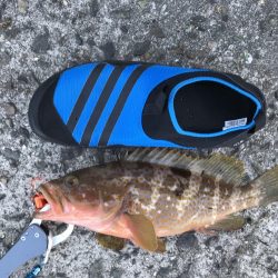 家族旅行の合間に