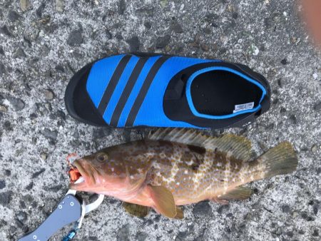 家族旅行の合間に