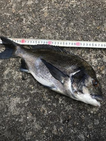 久しぶりの釣行！