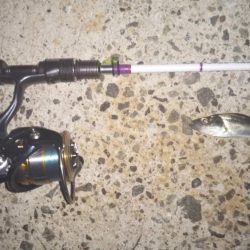 まだまだメバリング!?