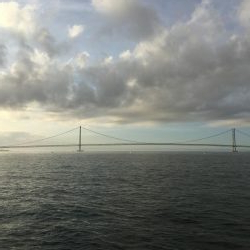 ケンサキちゃんどこに行ったの？