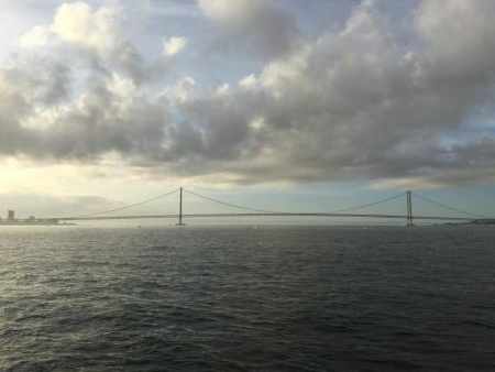 ケンサキちゃんどこに行ったの？