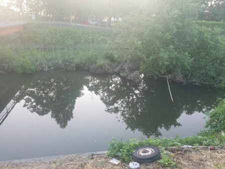 今日はサイズダウン