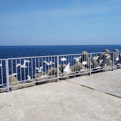 アオイソメで餌釣り