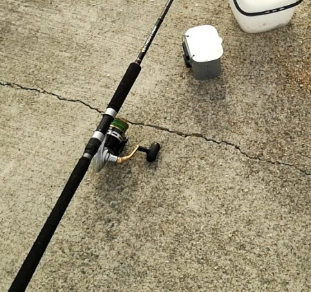 キス3　チャリコ5　ネズミゴチ1