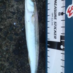 たくさん食べて 大きくな~れ!