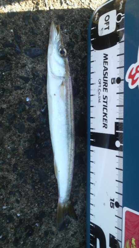 たくさん食べて 大きくな~れ!