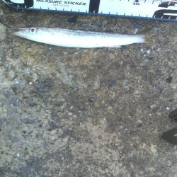 場所か腕か・・・