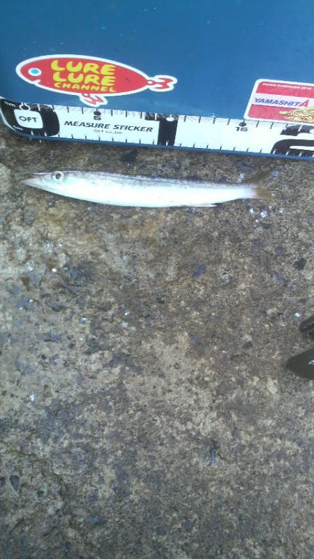 場所か腕か・・・