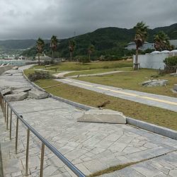 台風20号による翼港施設閉鎖について