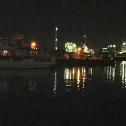 出張先でアジング