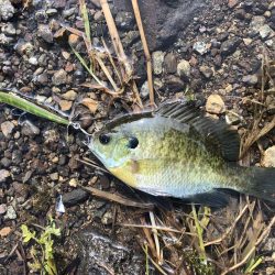 久しぶりの河口湖を満喫!!