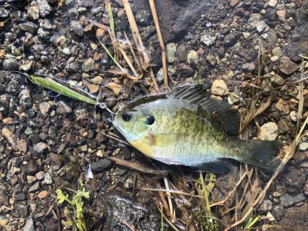 久しぶりの河口湖を満喫!!