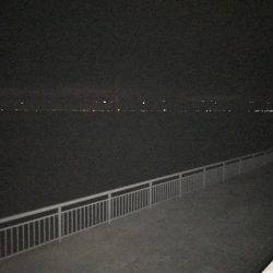 大サバ狙いも。