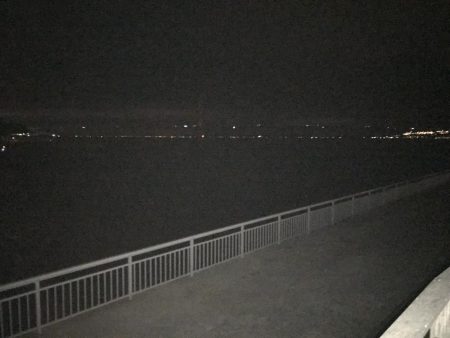 大サバ狙いも。