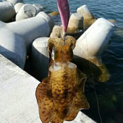 思わぬ大物が…