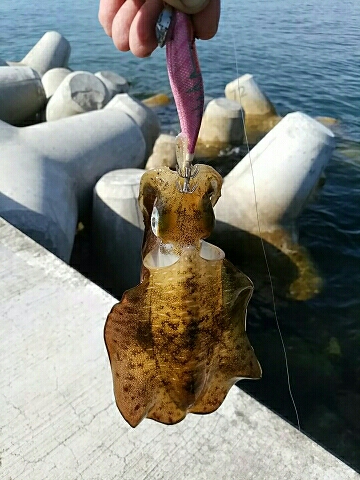 思わぬ大物が…