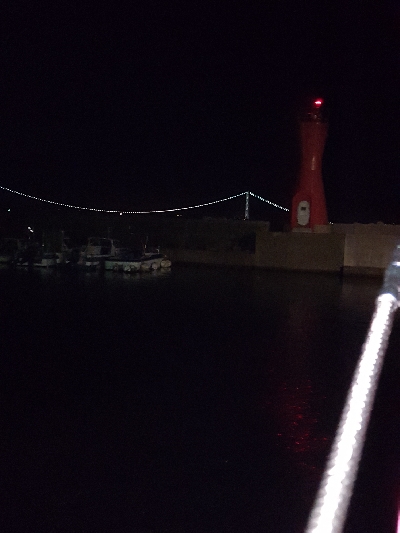 逃したけどゲット!