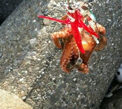 終盤戦タコ４杯