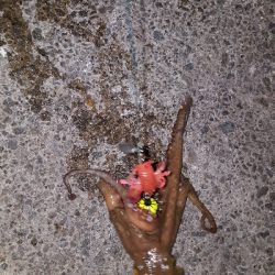 やっとおったわ!