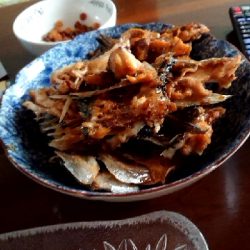 青物狙いのはずが…