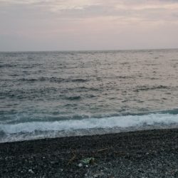 浜からメジマグロ