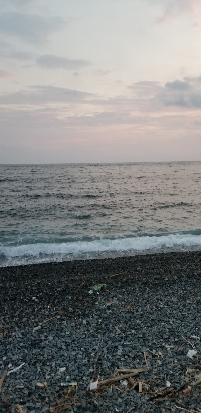 浜からメジマグロ