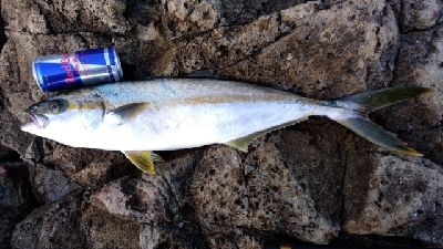 猛暑との戦い！