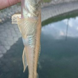 仕事終わりに・・・