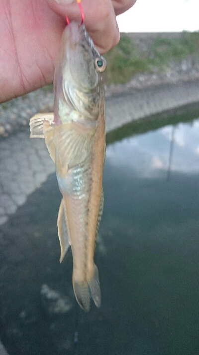 仕事終わりに・・・