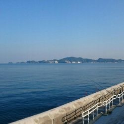 太刀魚はお留守！