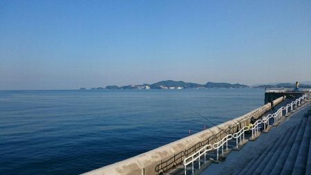 太刀魚はお留守！