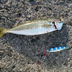 鹿児島釣行 2018 1日目