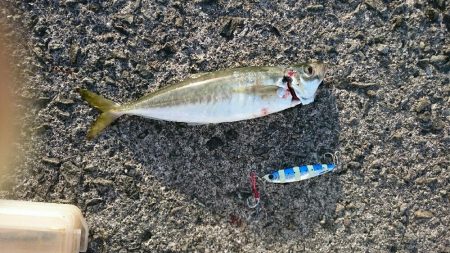 鹿児島釣行 2018 1日目