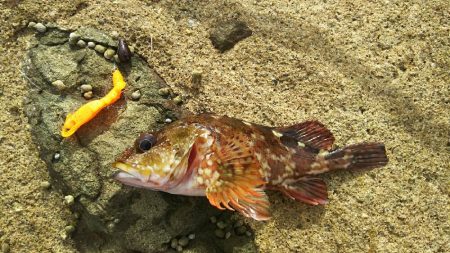 2日間のライトロック三昧