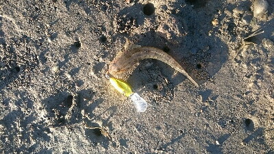 仕事終わりに・・・